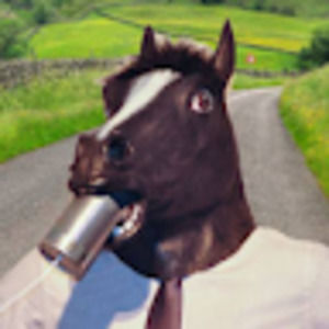 Meet your Posher, Gavin